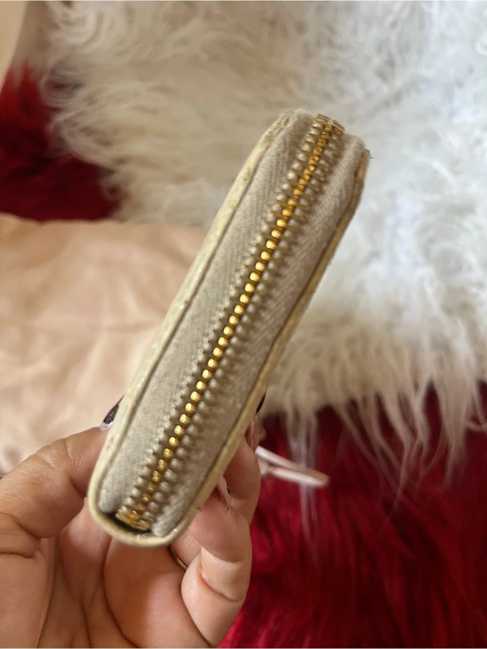 Miu Miu miu continental